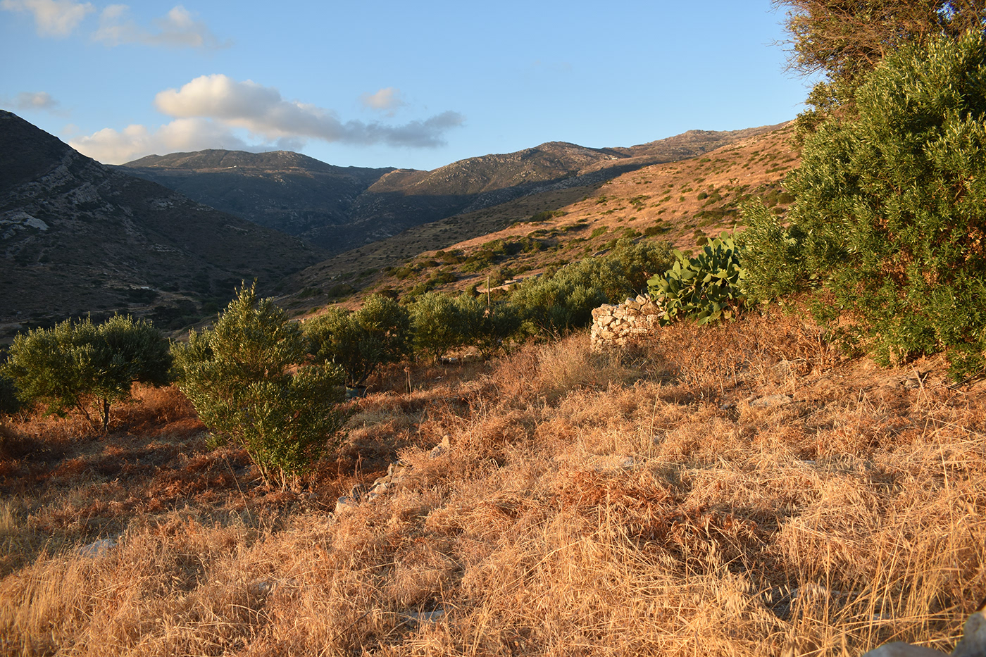 希腊伊奥斯自然疗愈之岛-7
