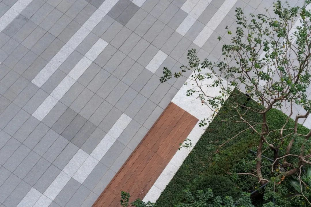 OPPO 智能制造中心项目 B 地块一期北区厂房园林景观分包工程丨萨尔瓦多滨海丨广州普邦园林股份有限公司-36