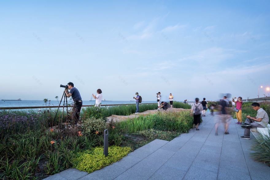 宝山滨江(一期)岸线的生态化与市民化转型丨中国上海丨大观景观设计-41