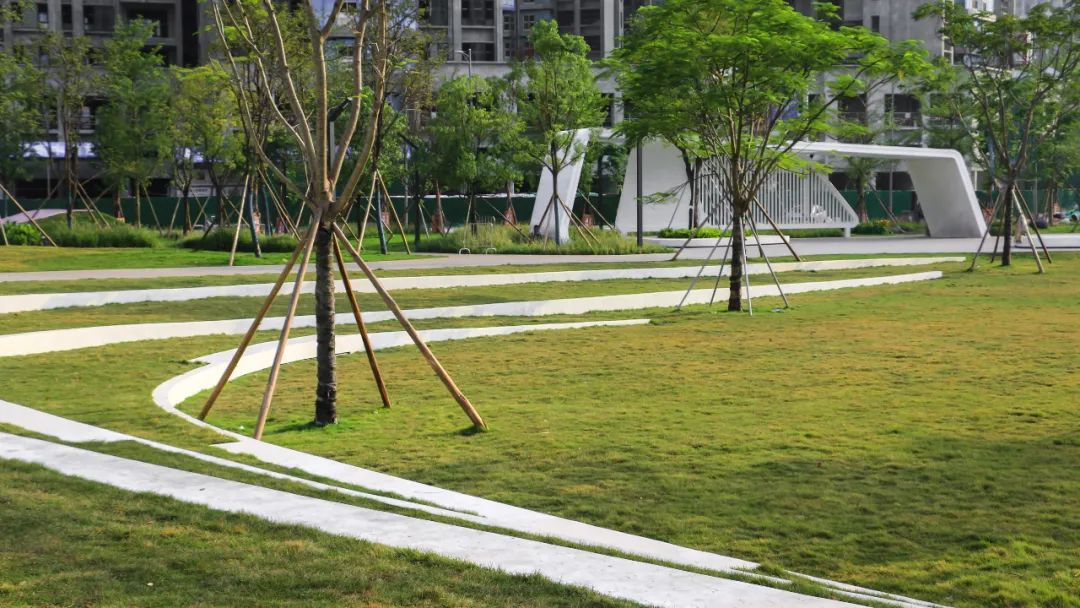 惠州星河仲恺御湖公园丨中国惠州丨法国埃尔萨景观设计事务所-32