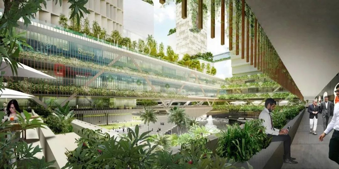 新加坡裕廊湖区 | SAA Architects | 新加坡-16