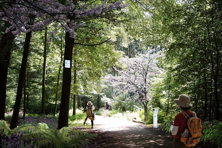 深圳光明600公顷森林及体育公园设计丨中国深圳-31