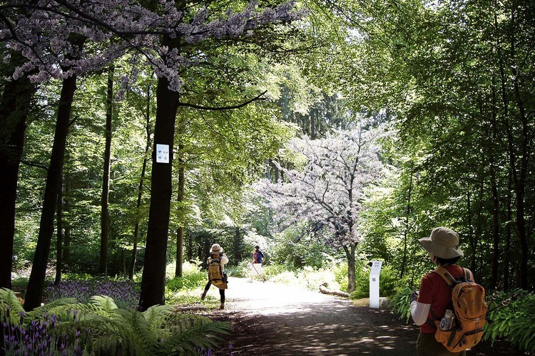 深圳光明600公顷森林及体育公园设计丨中国深圳-31