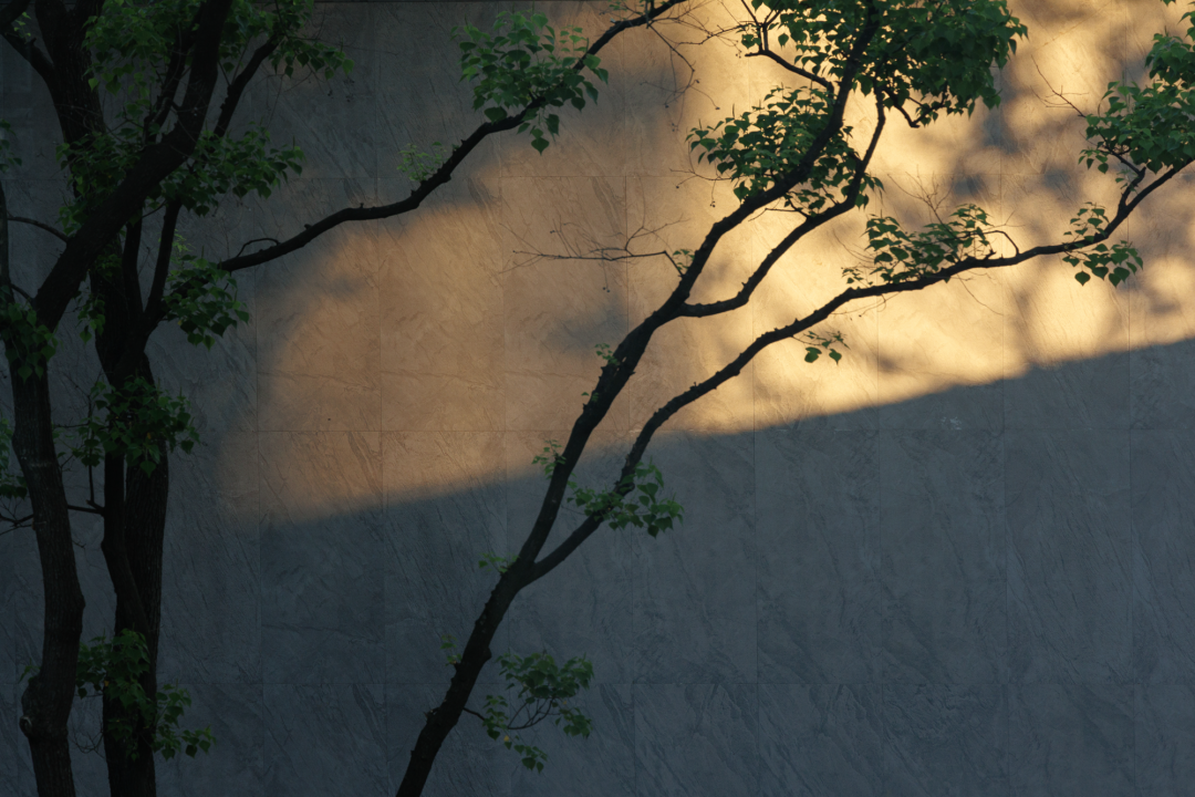 都市中的光影切片 | 中国铁建苏州花语天辰-69