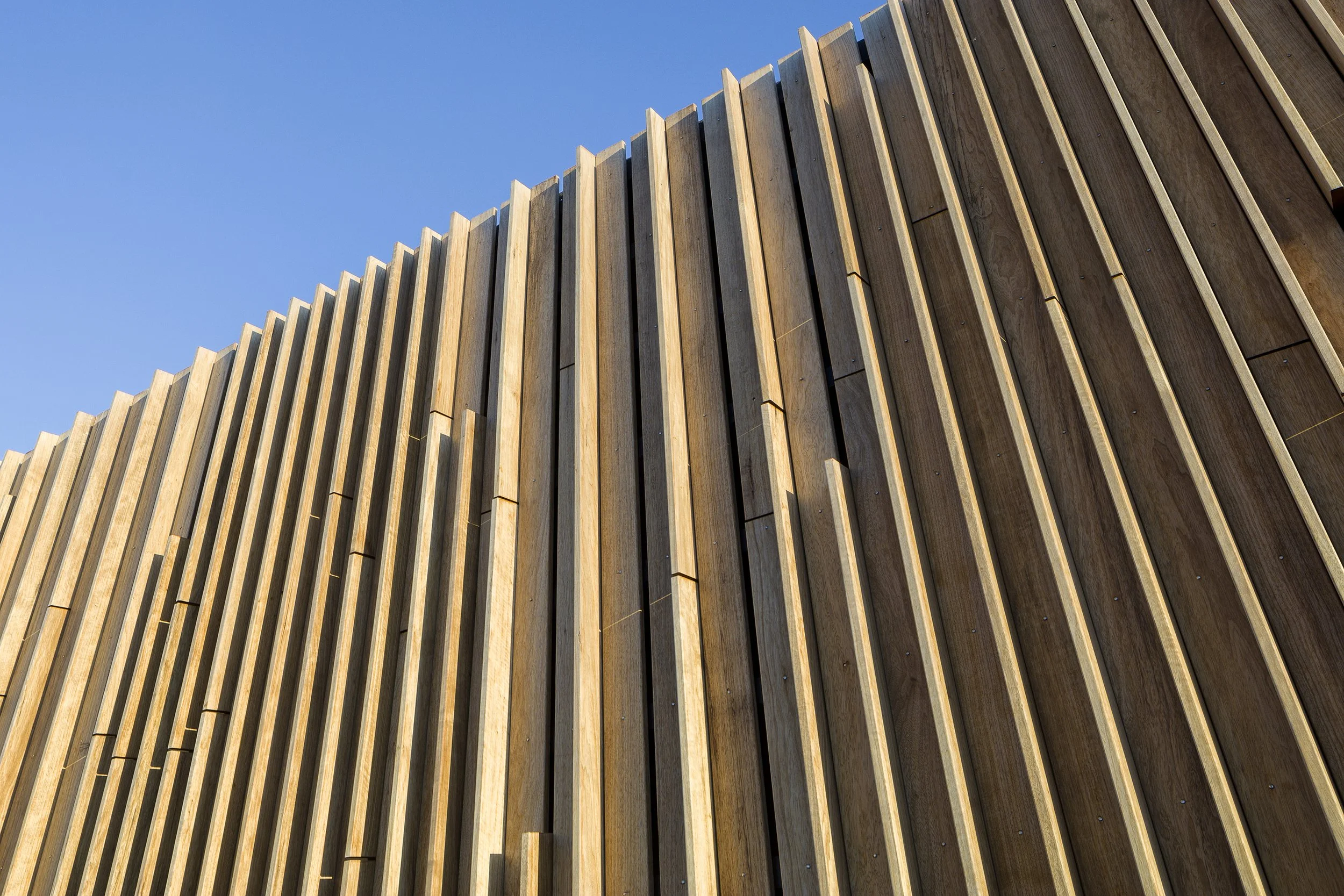 阿纳姆普拉托伍德 pavilion（注：paviljoen常见意思为楼阁；亭子；大帐篷等，但pavilion是更为通用英文表达，这里直译为pavilion不确定能否尽量准确表意，可能需根据具体语境进一步琢磨） 丨荷兰阿纳姆丨Weeber architecten-14