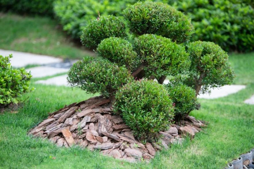 上饶悦麓开元观堂 | 古徽州文化与现代度假的完美融合-135