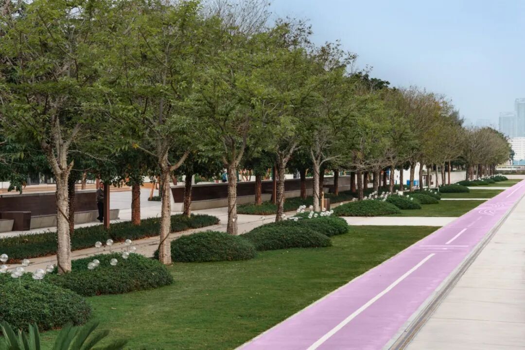 广州白鹅潭聚龙湾片区项目启动区园林景观工程丨中国广州-30