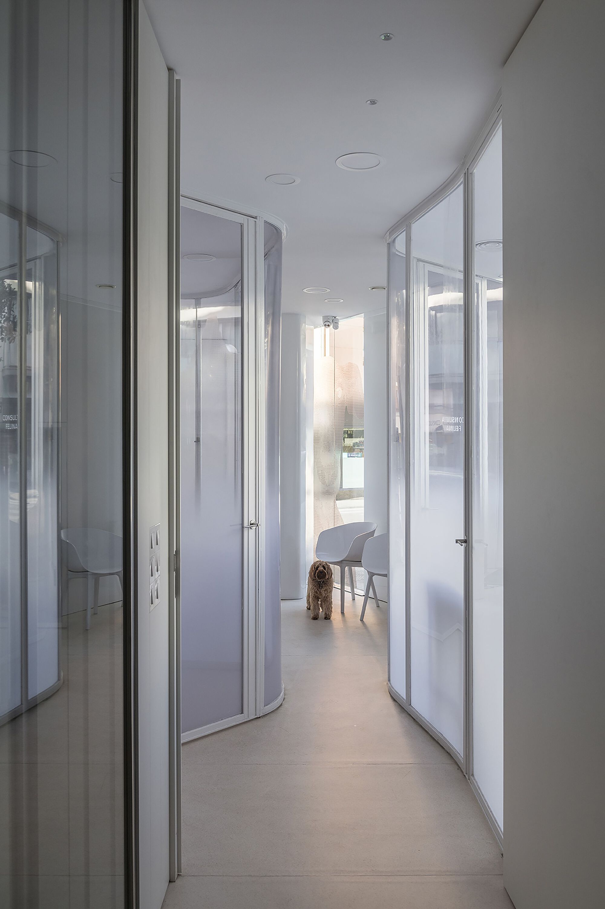 Rosvet 兽医诊所丨西班牙丨VIDA Arquitectura-18