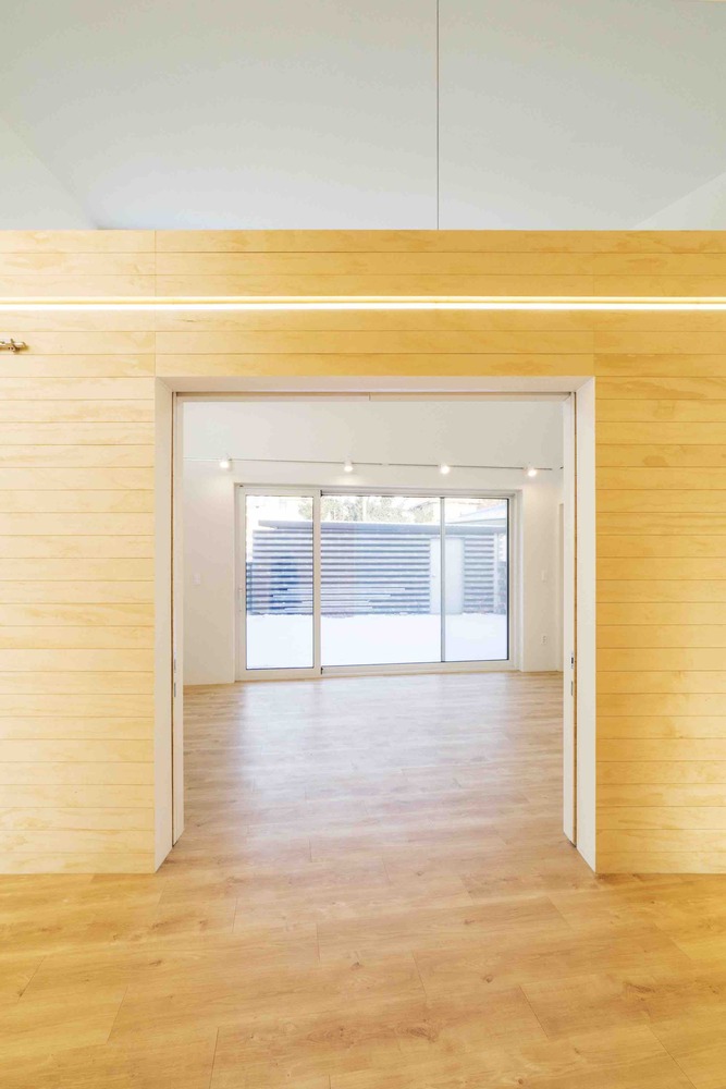 温暖阳光照亮受伤主人生活-55