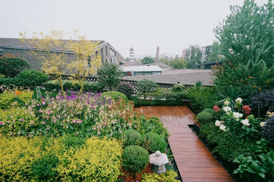 空中花园的粉紫色浪漫 | 乐梵造园的秋韵花境改造-20