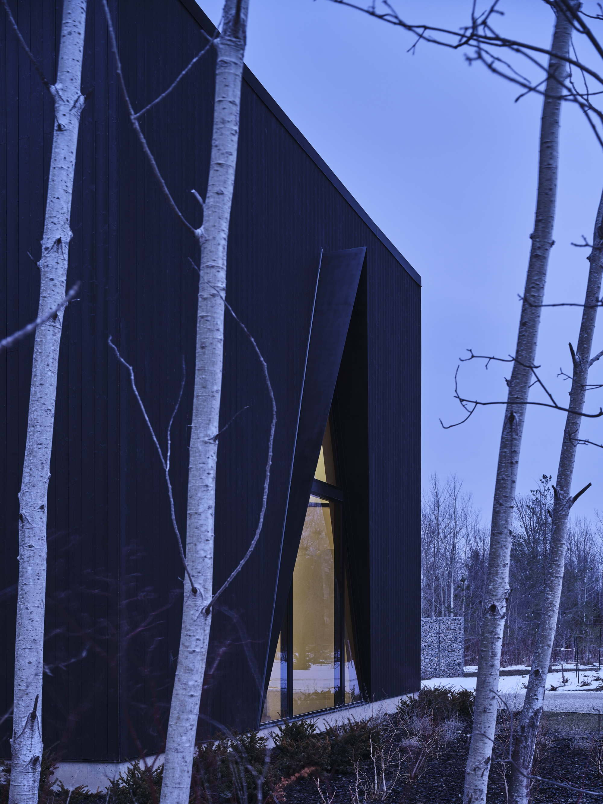 猫科滑雪小屋丨加拿大丨Atelier RZLBD-15