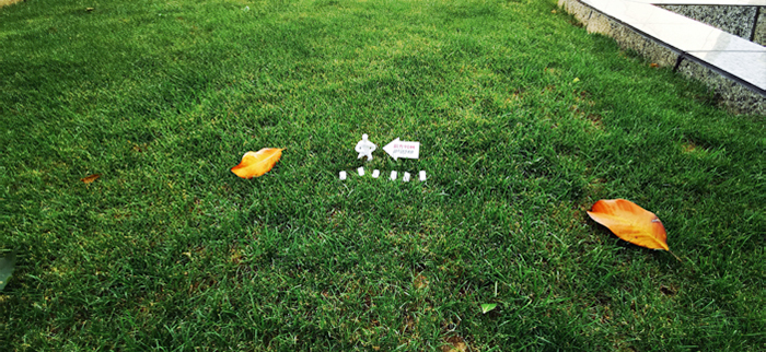 #动不动艺术展#不动人小品导视-11