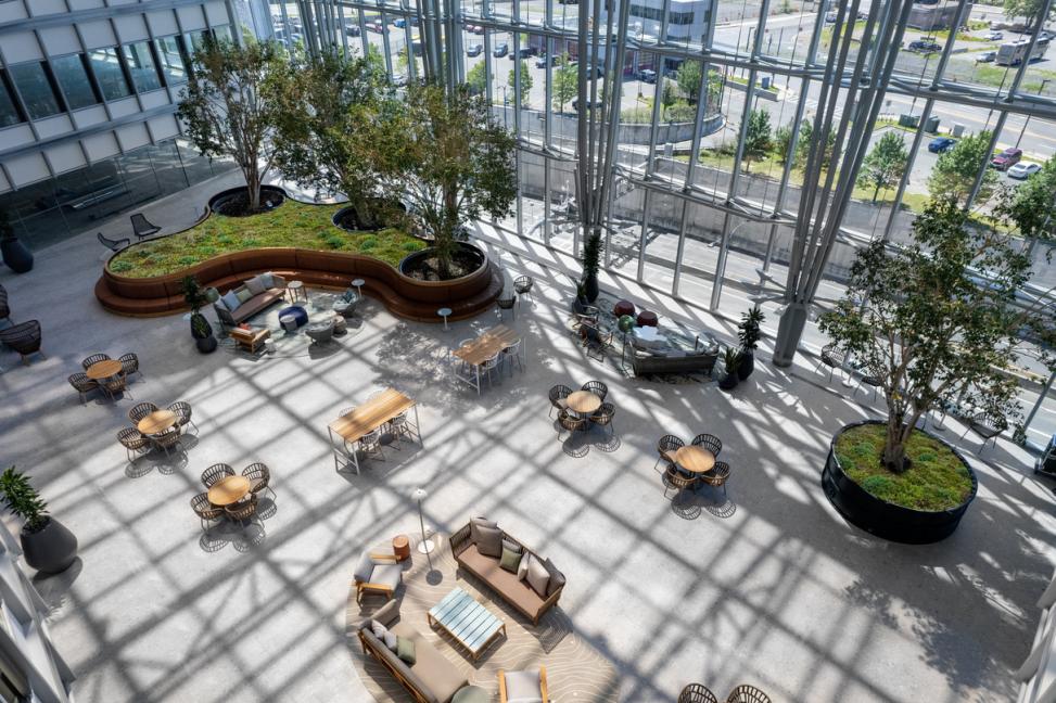 丨United StatesBoston丨CBT-6