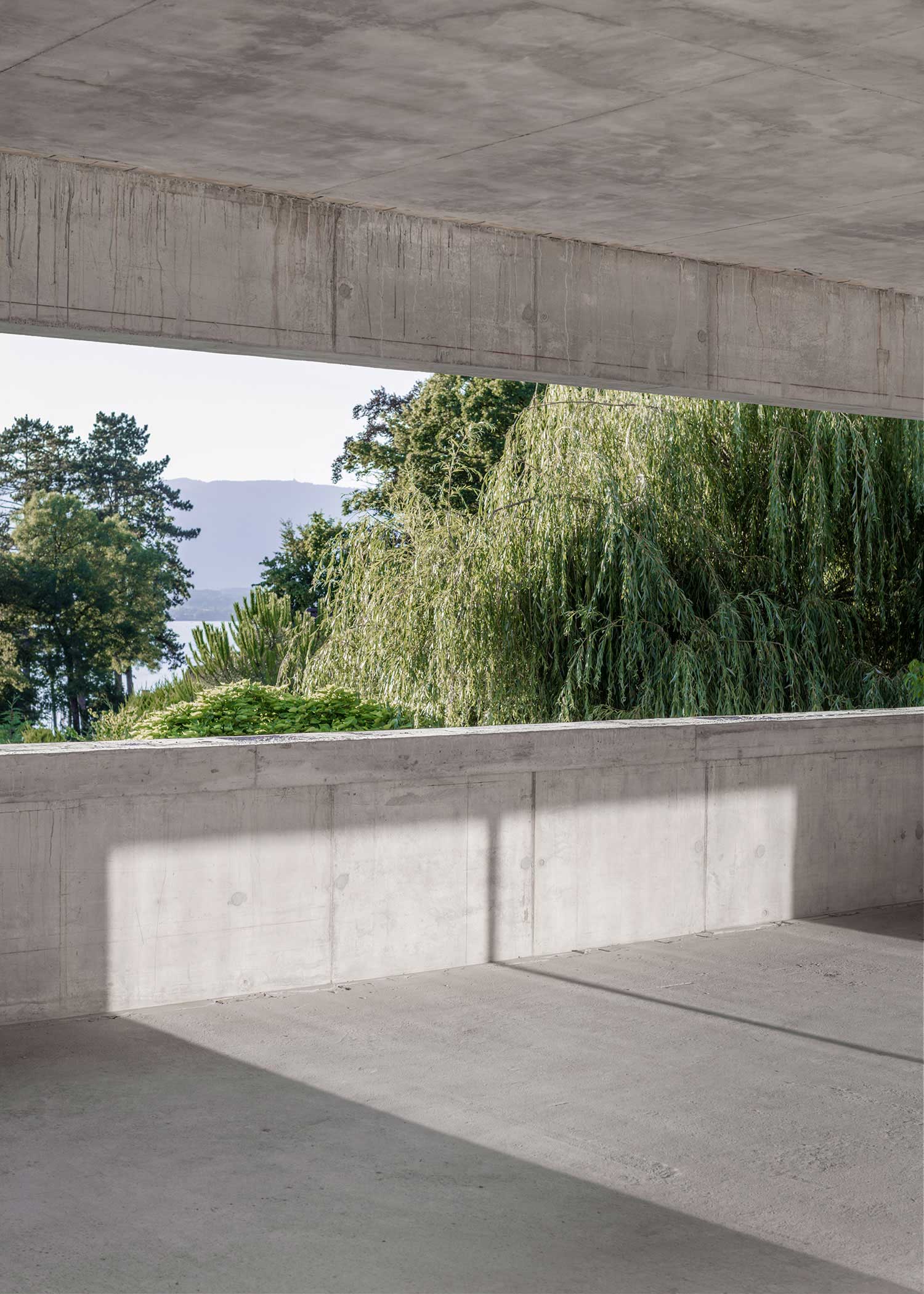 瑞士湖景“全景郊区”房-1