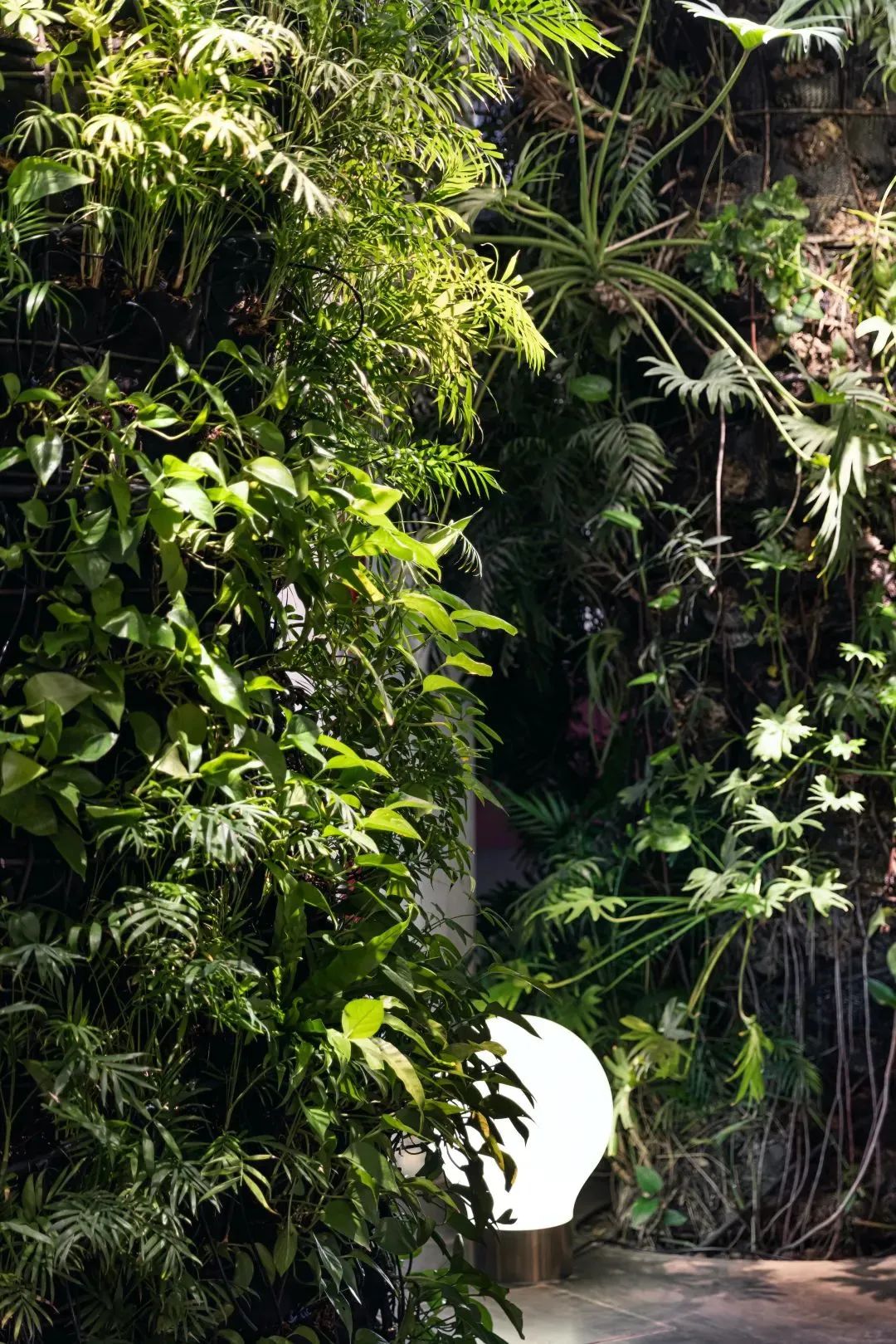 走进法视界，在人文和优雅中感受家居美学-1