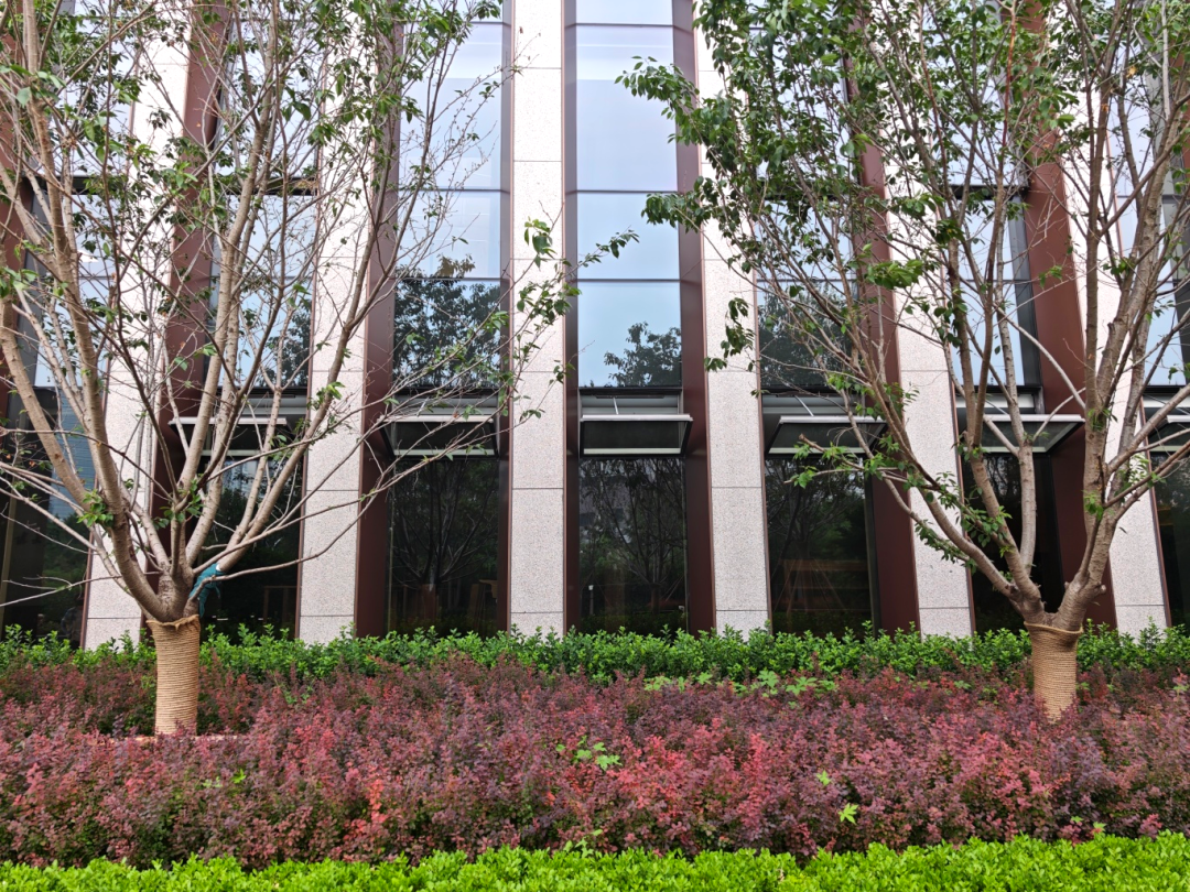 英海特项目动态|中国国际出版交流中心-55