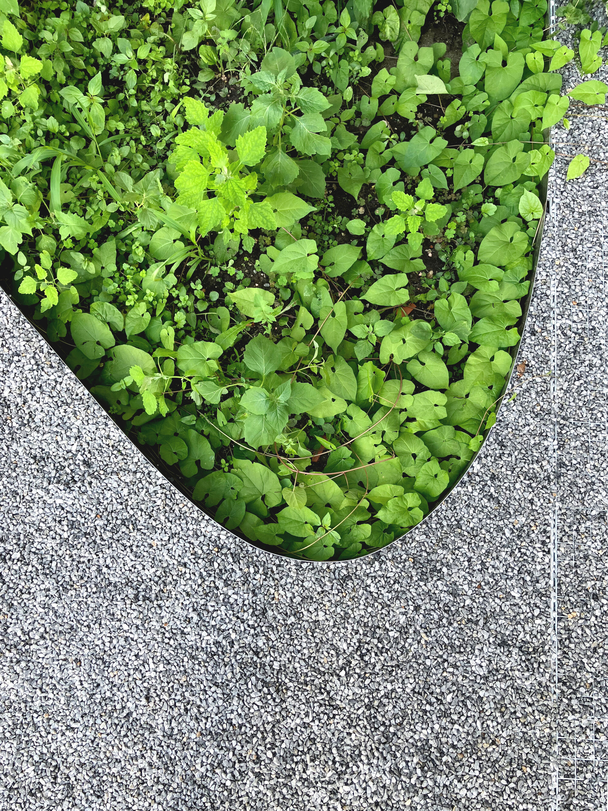 卡萨LL办公室改造丨意大利米兰丨P•A•N-44