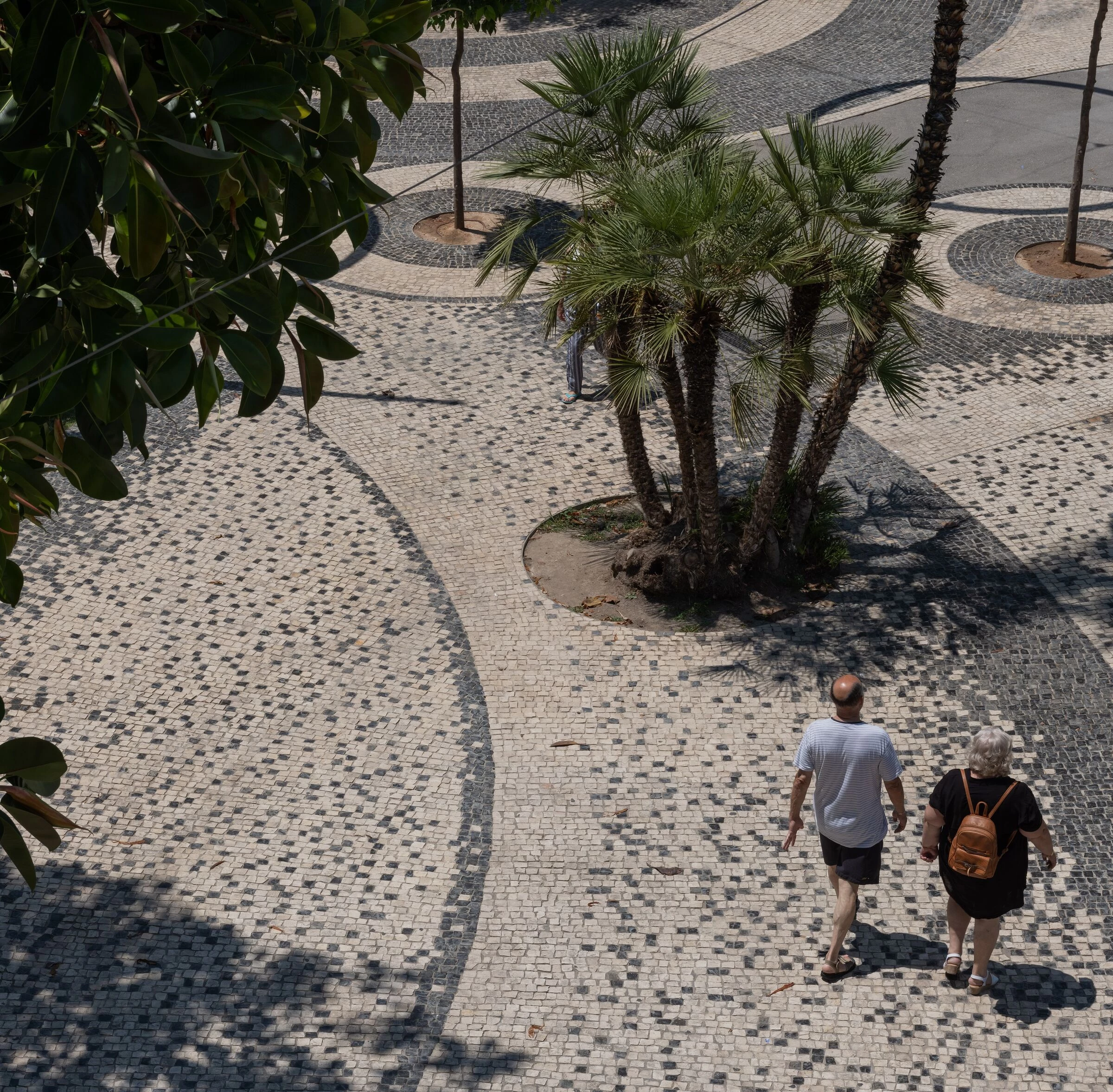 AVENIDA DEL MEDITERRANEO 大道改造丨西班牙丨Joaquín Alvado Bañón-42