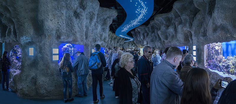 “Moskvarium”海洋馆丨俄罗斯莫斯科丨Aqua Logo Engineering-120