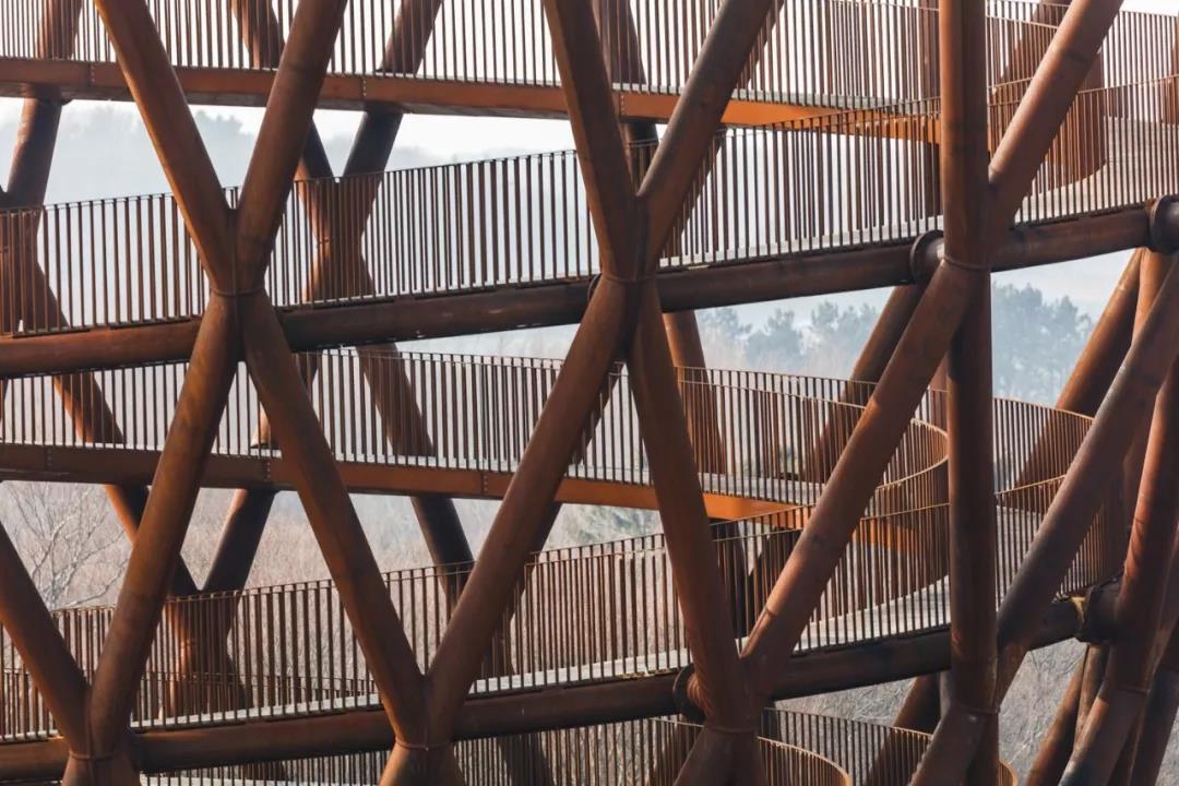 野营探险塔（Camp Adeventure Tower）丨丹麦丨EFFEKT-29