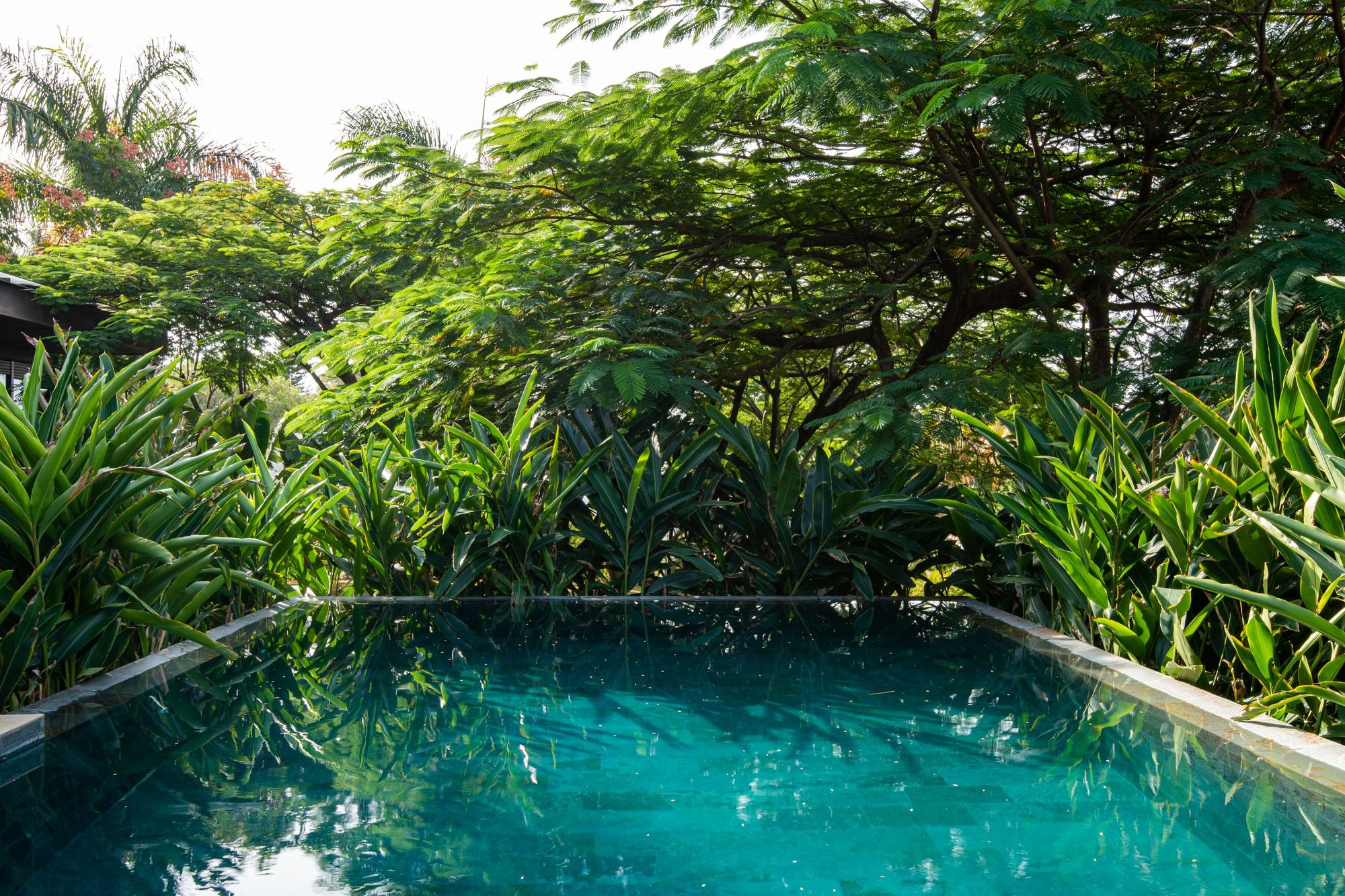 树屋丨巴西圣保罗丨Sala 03 Arquitetura-42