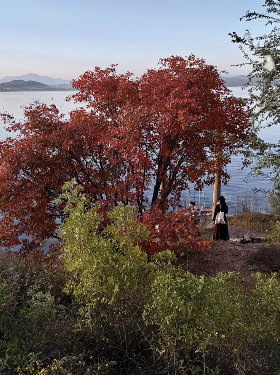 谷堆白沙 一期 景观丨中国白沙丨boll是园-107