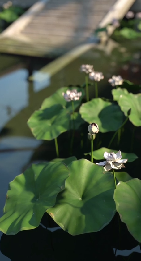 Preparing for the Banquet | Yến tiệc-14