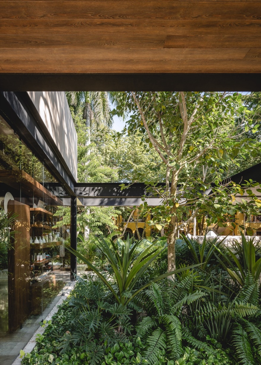 Xcanatún水疗中心丨墨西哥丨Taller Mexicano de Arquitectura-23