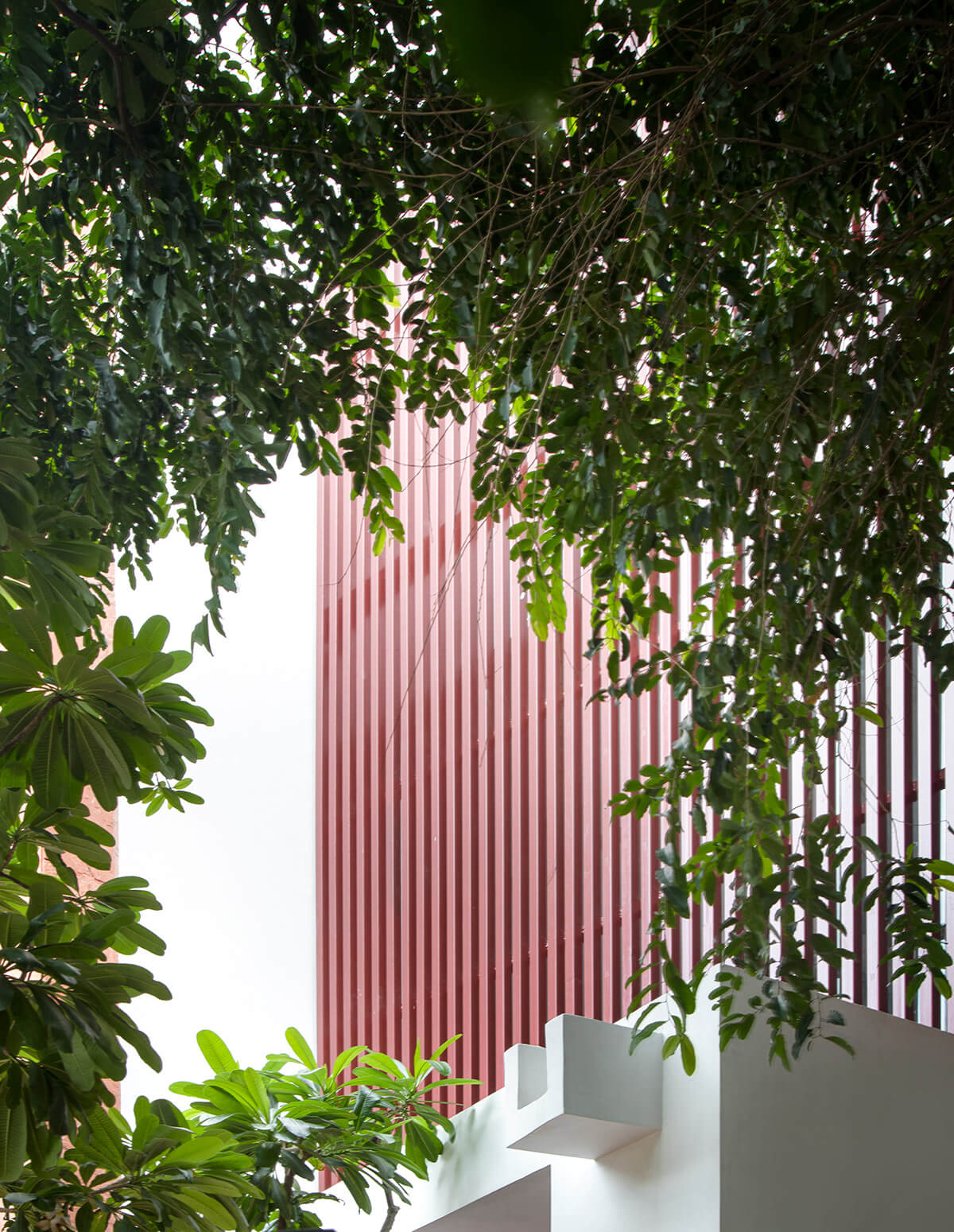 House With 49 Trees RENESA-4