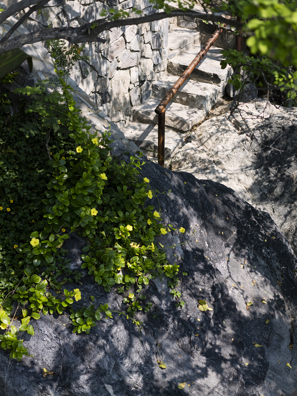 SJAIII住宅,墨西哥 / CDM-27