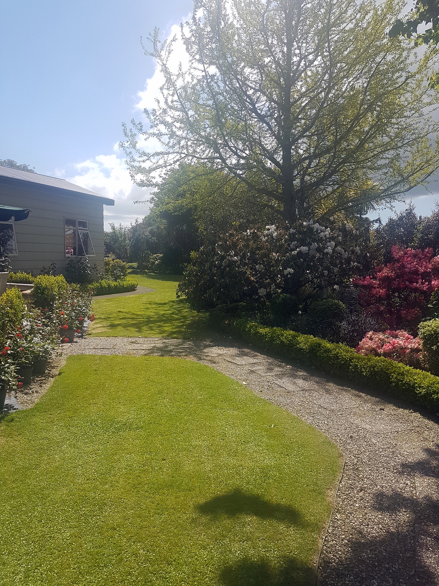 Cairnhill私人花园-67