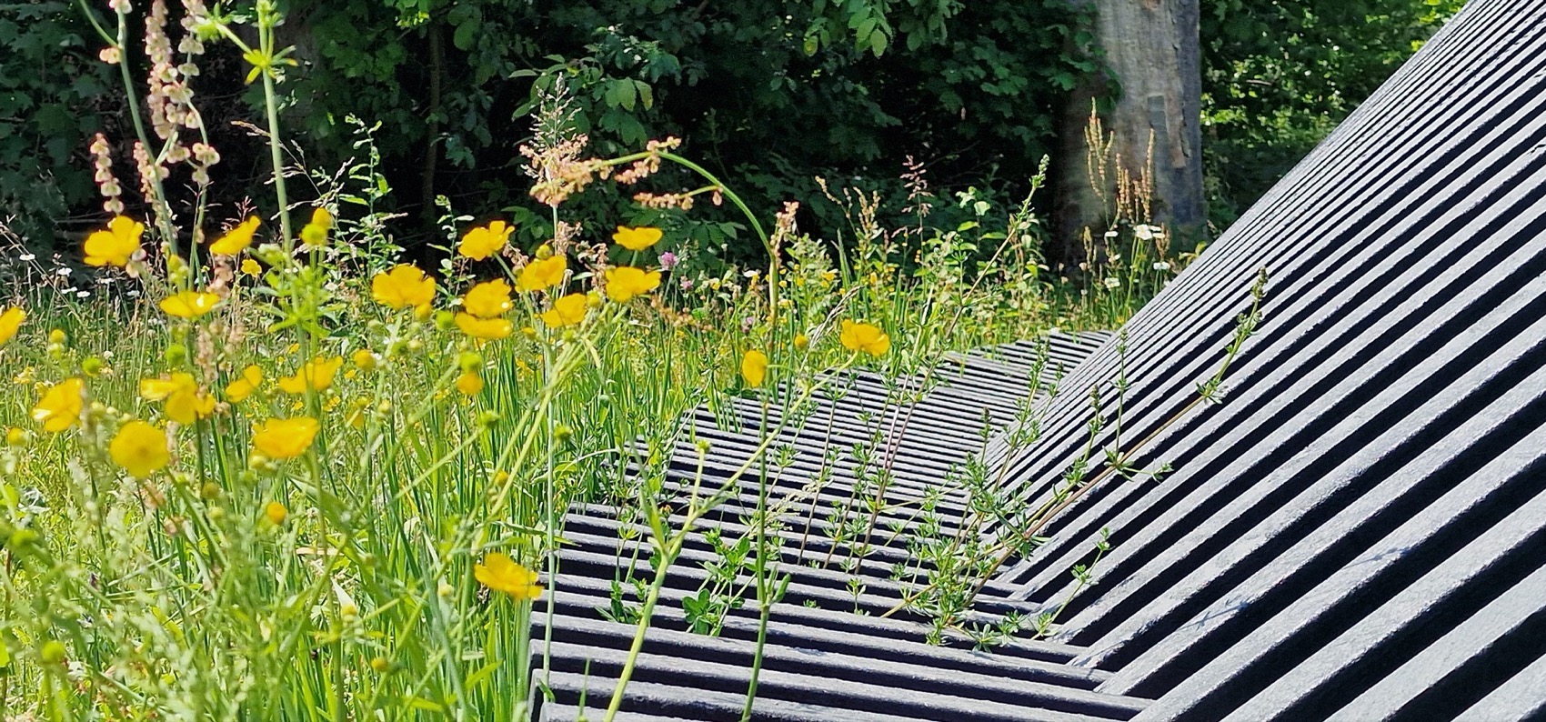 荷兰航空观测休憩长椅丨Studio Marco Vermeulen-11