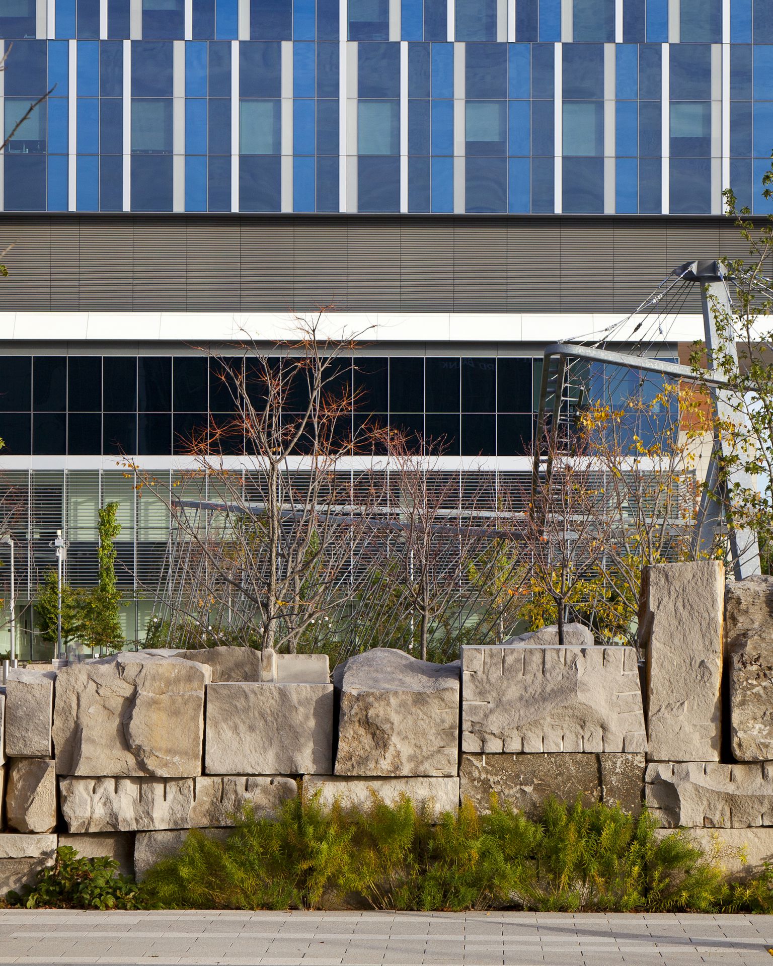 埃斯肯纳齐健康医院的共同基础和天空农场-15