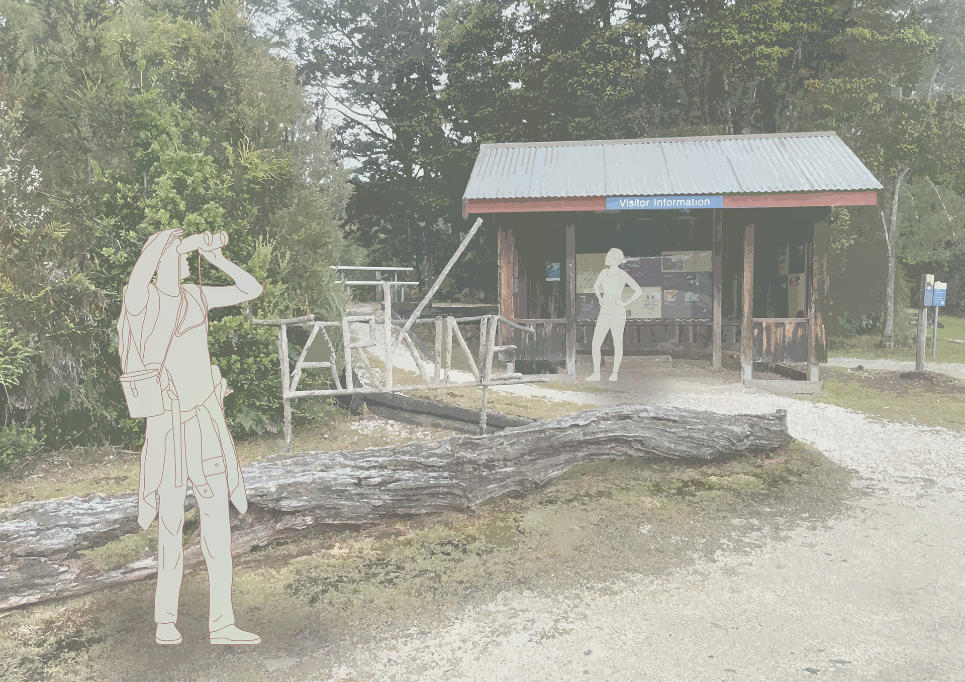 Edge of the World景观建筑设计论文项目丨澳大利亚塔斯马尼亚-55