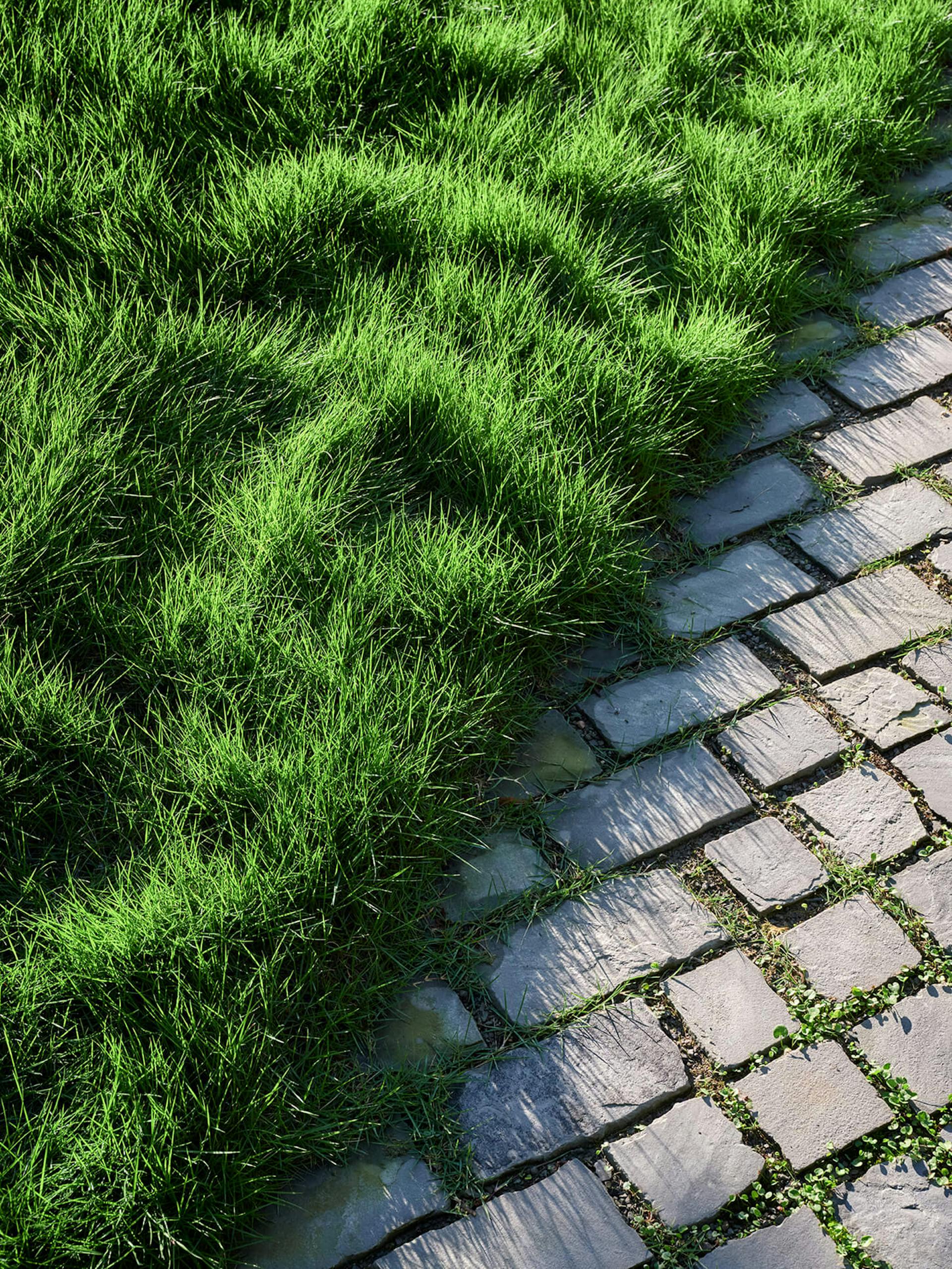 新月丨美国达拉斯丨HOCKER-67