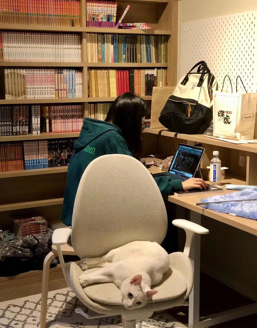 喵星人的温馨家园丨中国重庆丨不详-91