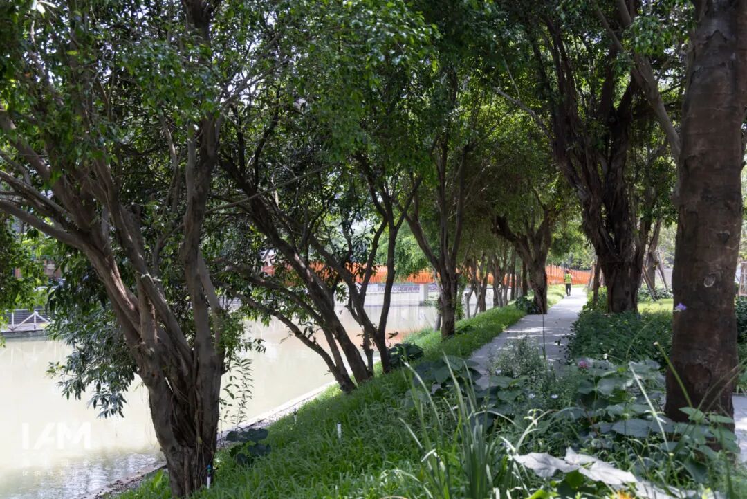 续写亚运荣光，激活滨水新篇|广州亚运公园-47