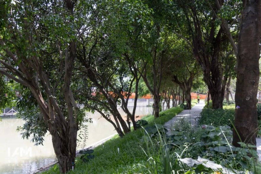 续写亚运荣光,激活滨水新篇|广州亚运公园-47