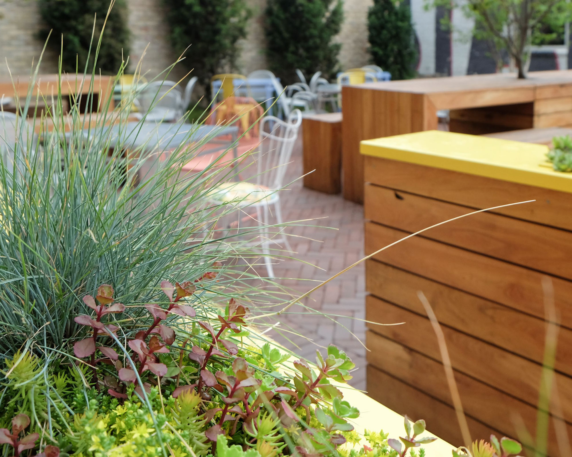 丨美国芝加哥-17