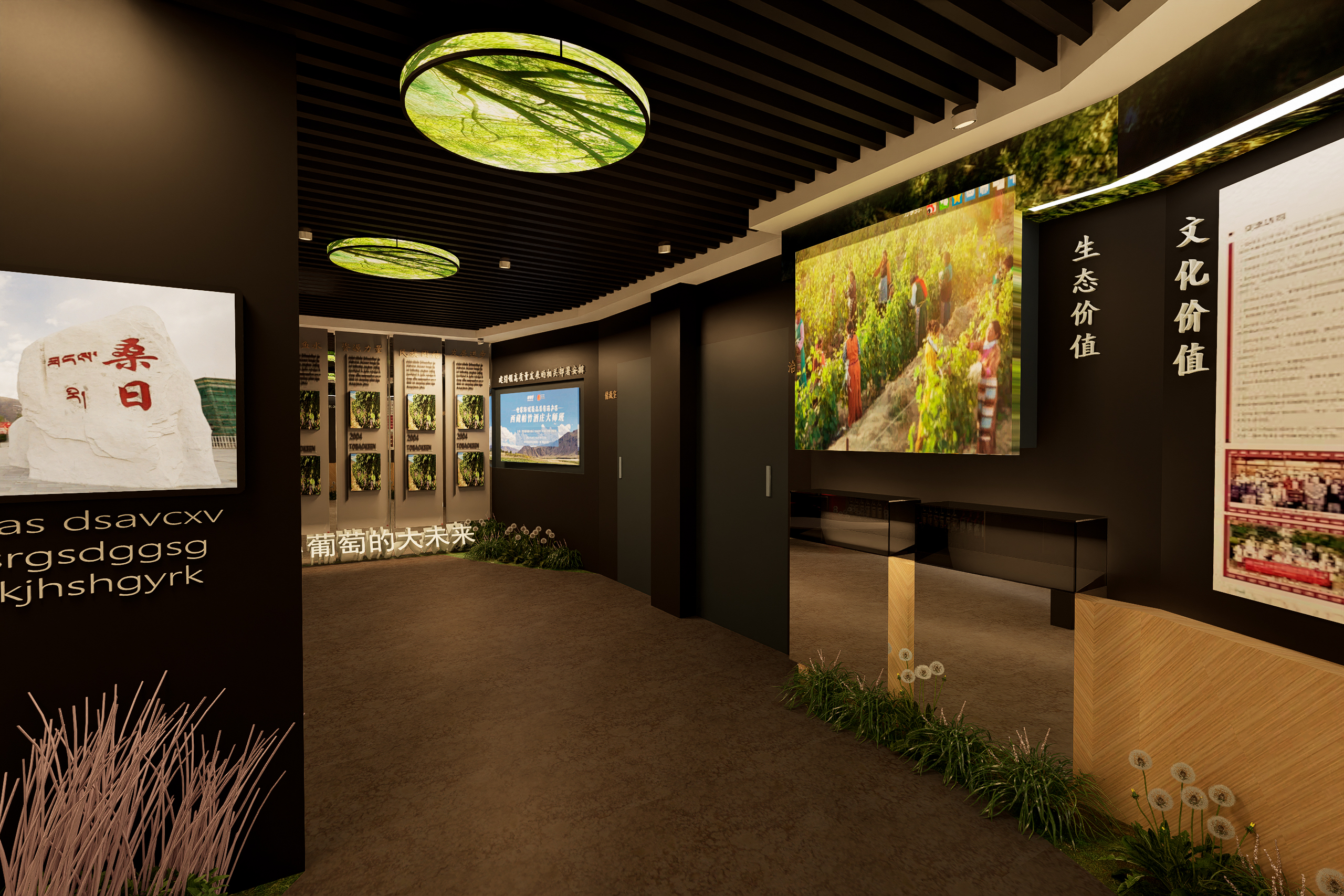 葡萄特色展厅初设-11