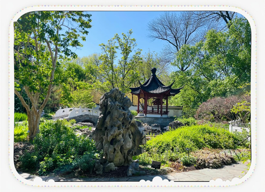 园林文化|三十载园林情缘——中国“友宁园”-20