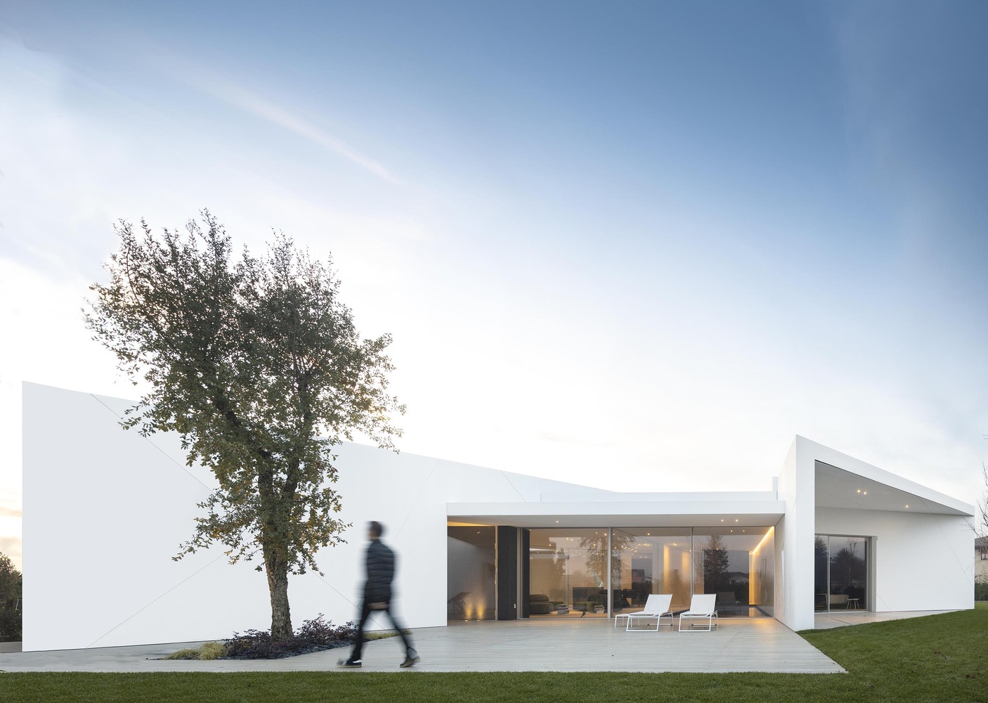 Diamond Tree（钻石树）-46