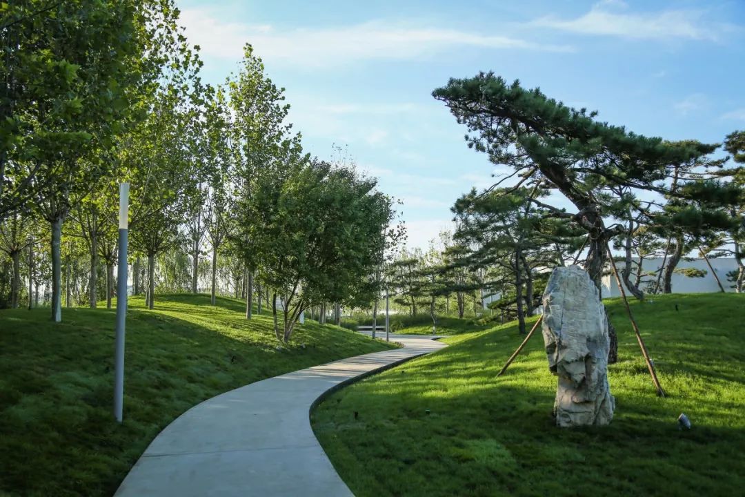 山海关金禧展示区 | 古松奇石，绘就历史画卷-55