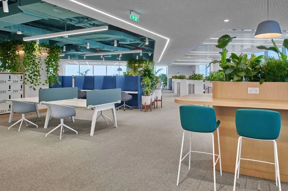Roche 罗氏迪拜办公室丨阿联酋迪拜丨Allen Architecture Interiors Design-13