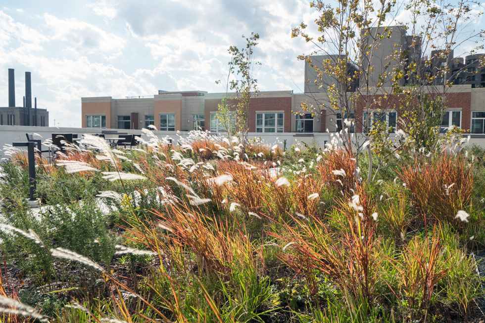 丨United StatesChicago丨Site Design Group-15