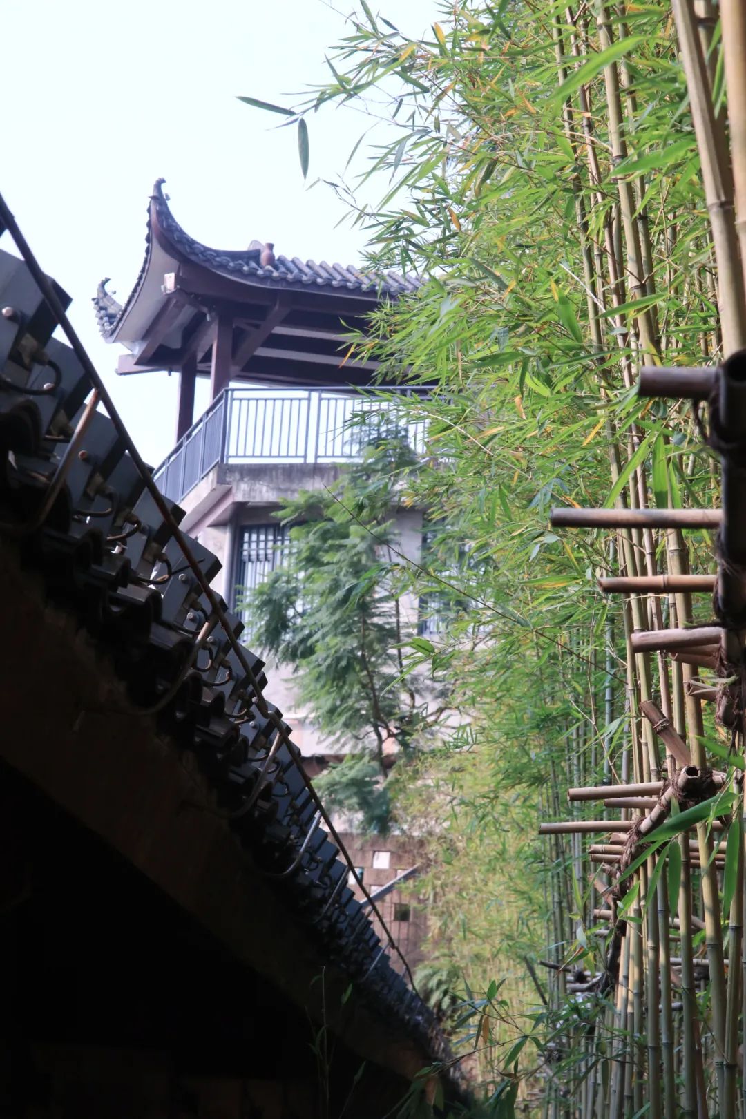 故宫文物南迁纪念馆(安达森洋行改造)丨中国重庆-174