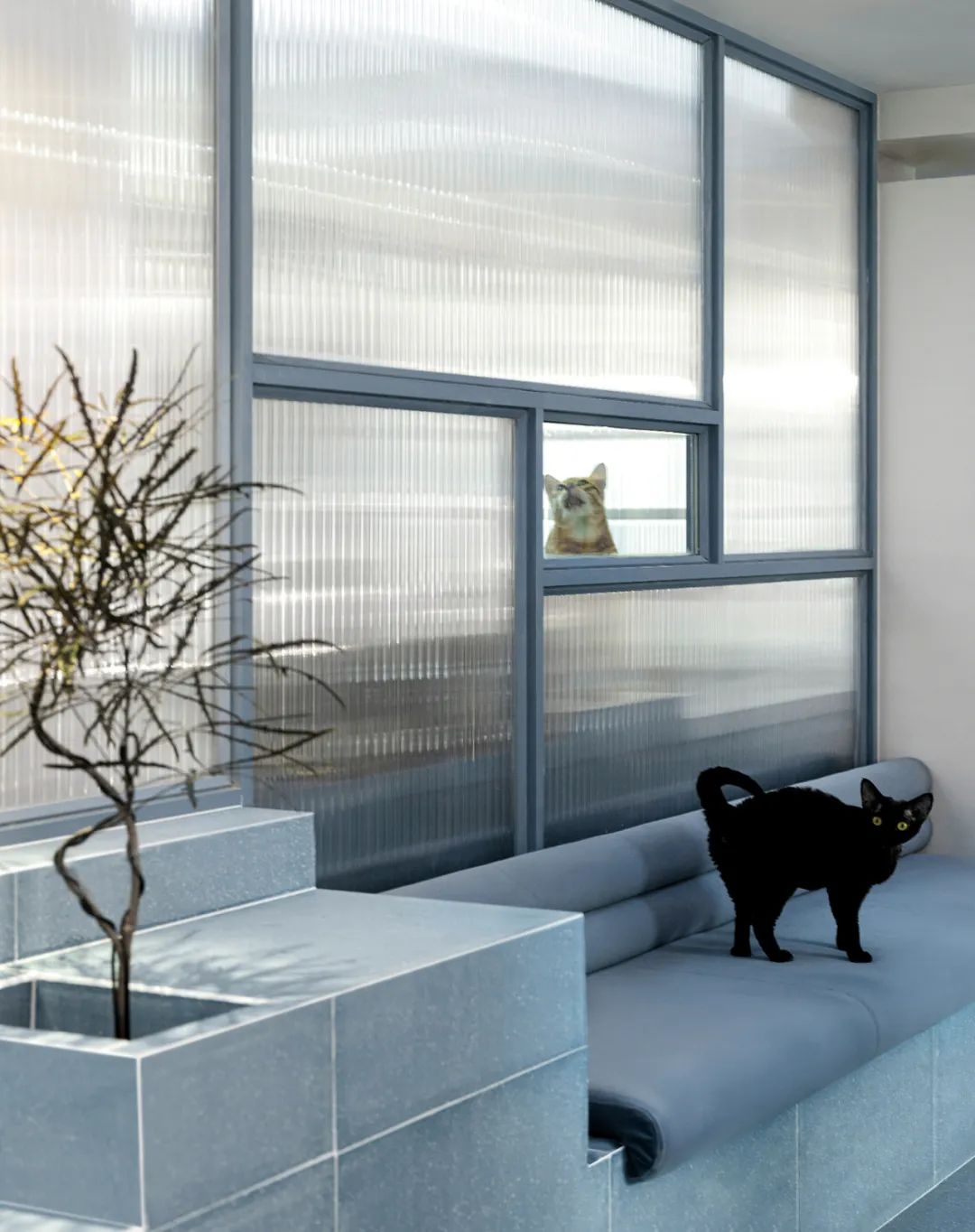 米米猫宠物医院丨中国沈阳丨舍近空间设计事务所-38