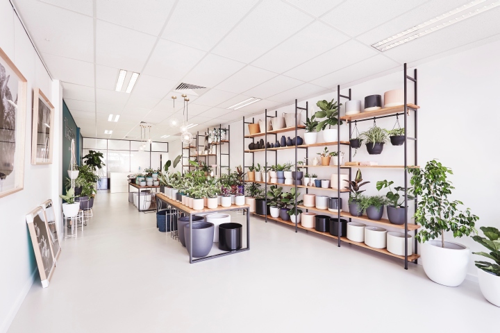 Hass & Co Botanics 店-31