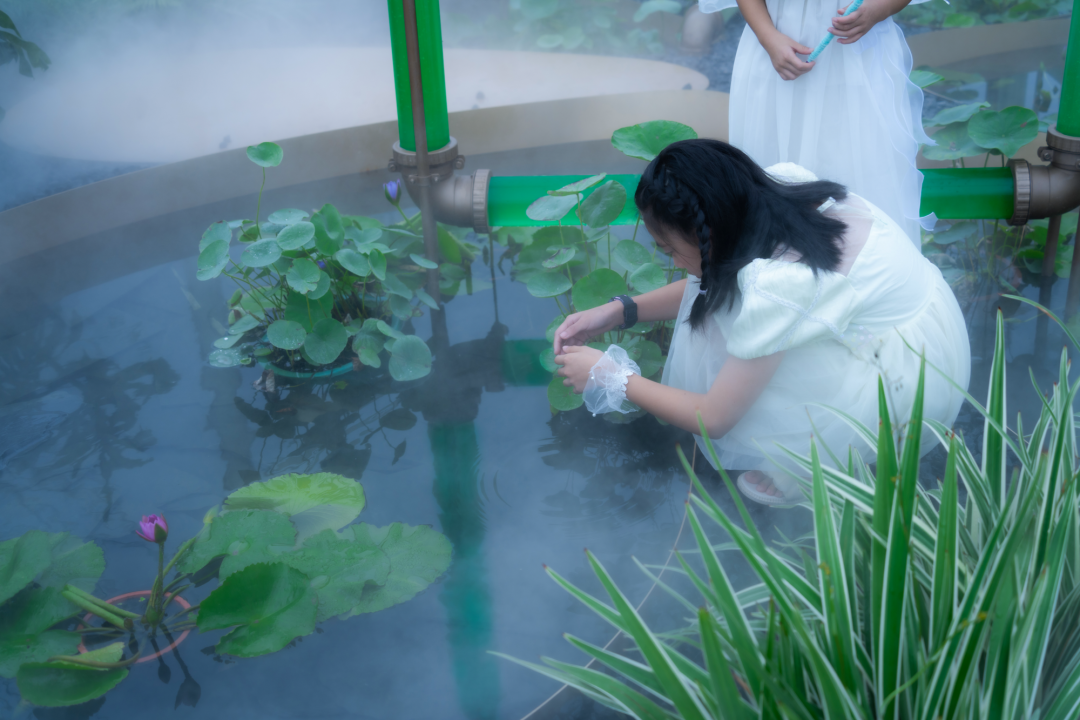 微藻实验花园：景观设计中的绿色新篇章-55