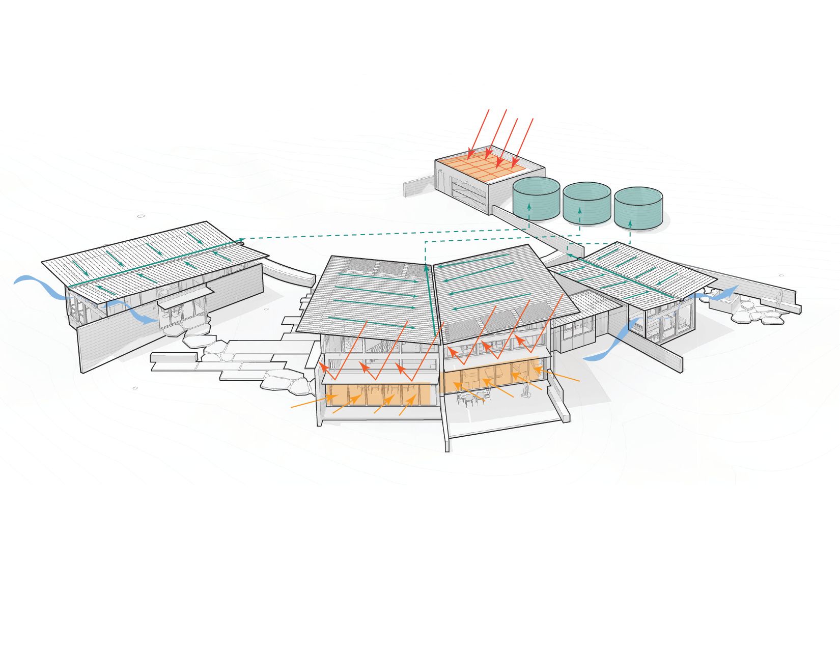 蝴蝶馆丨美国丨Feldman Architecture-17